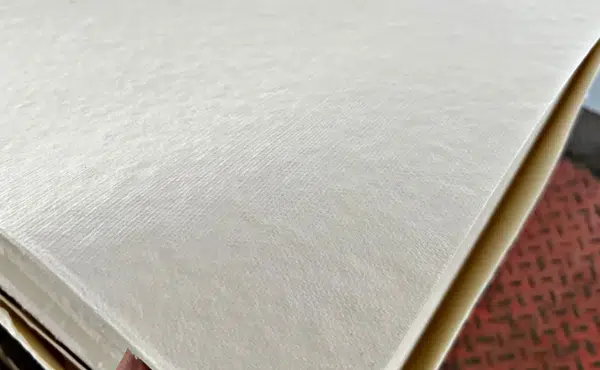 paper-pulp