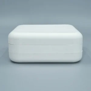 Molded Pulp Mooncake Packaging Box