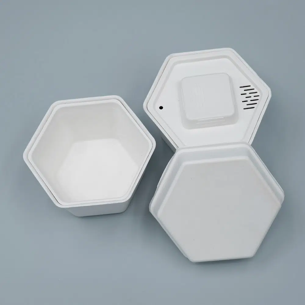 Sugarcane Molded Hexagonal Box