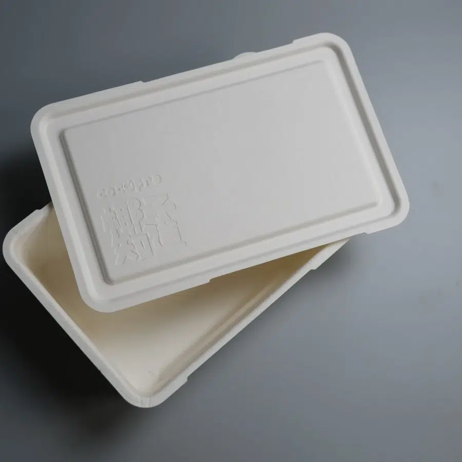 Disposable Food Storage Box With Lid