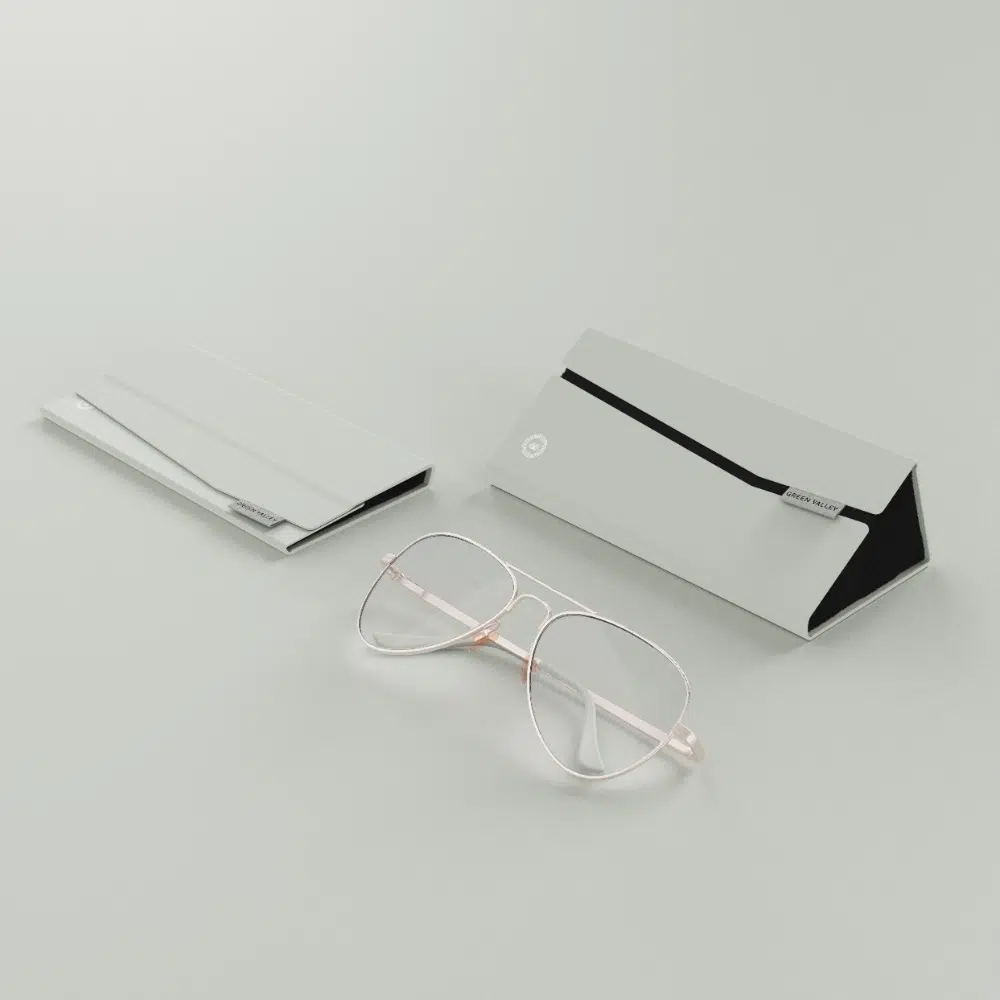 Elegant Magnetic Eyeglasses Case 