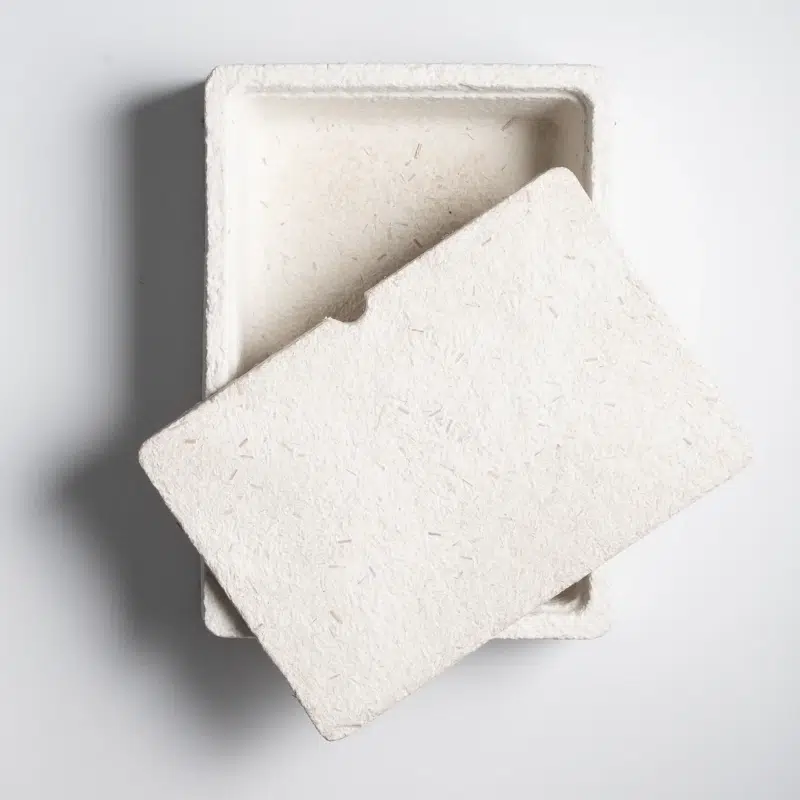 Mushroom-based packaging Mushroom-based packaging