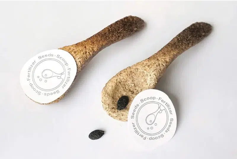 Seed peanut packaging