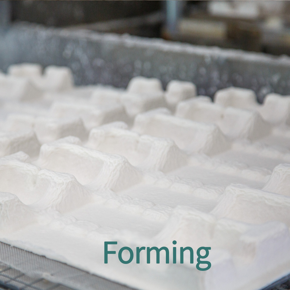 Step 2: Forming - Vacuum pulls pulp against custom molds