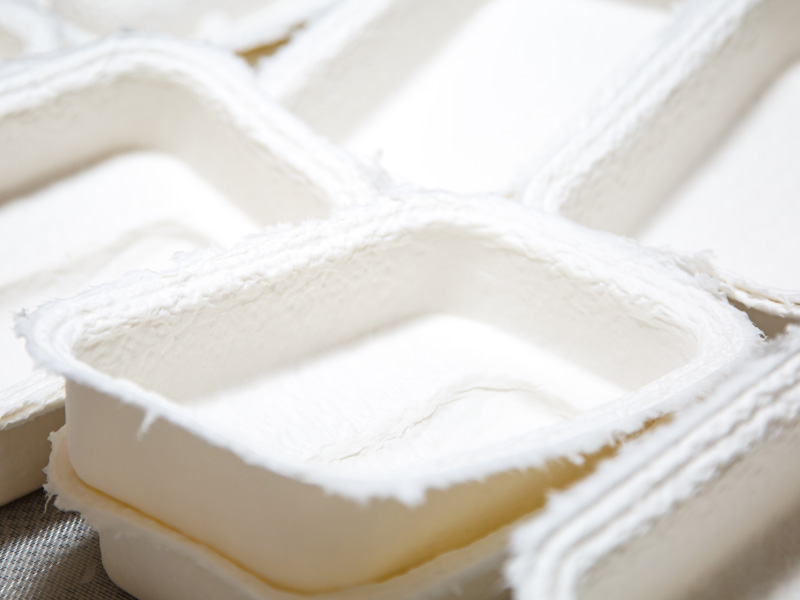 Molded Pulp Packaging: Eco-Friendly Trays from Recycled Materials