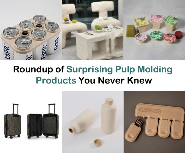 A Roundup of Surprising Pulp Molding Products You Never Knew Existed