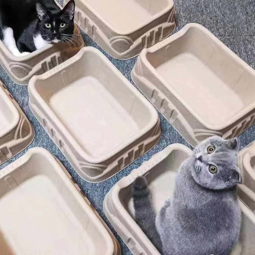 Cat Bed