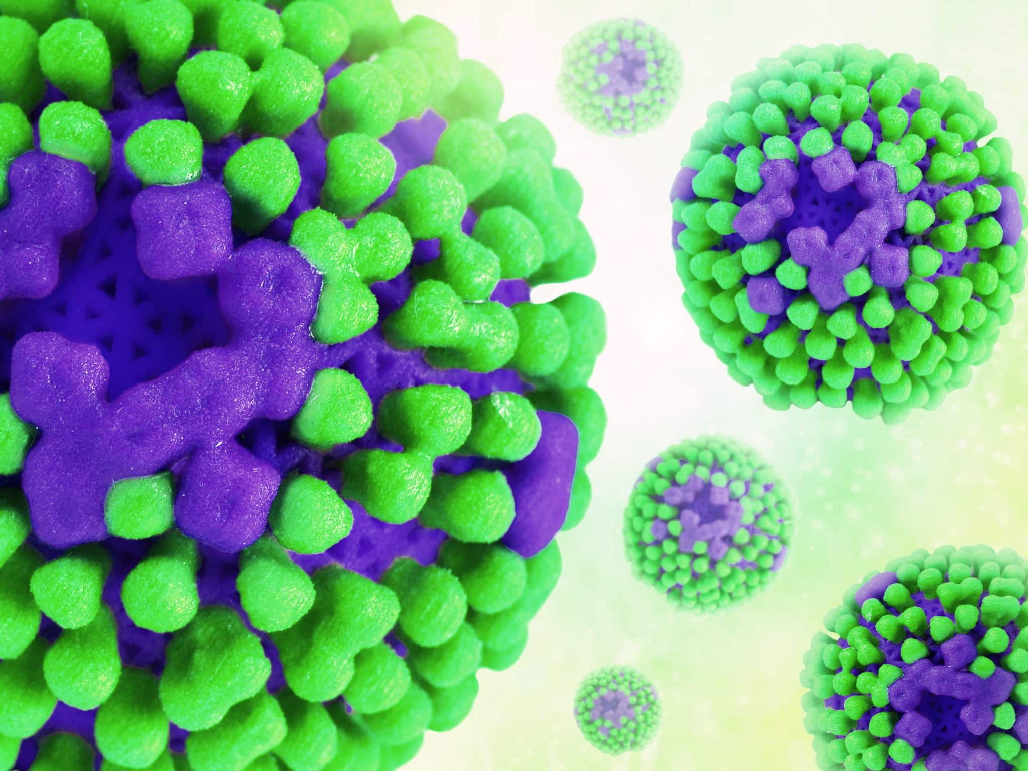 Influenza Virus