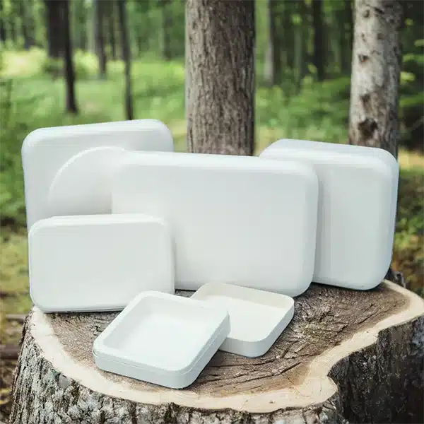 Molded Pulp Packaging