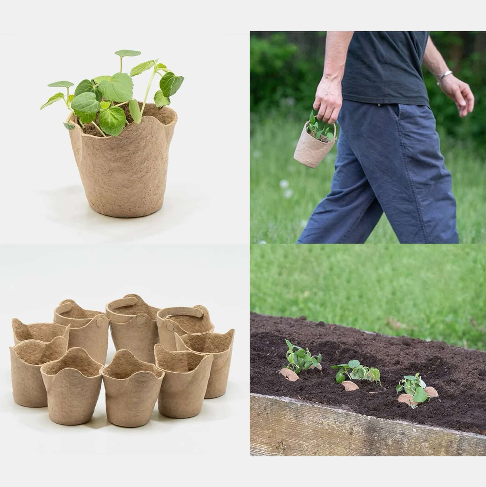 Seedling Pot