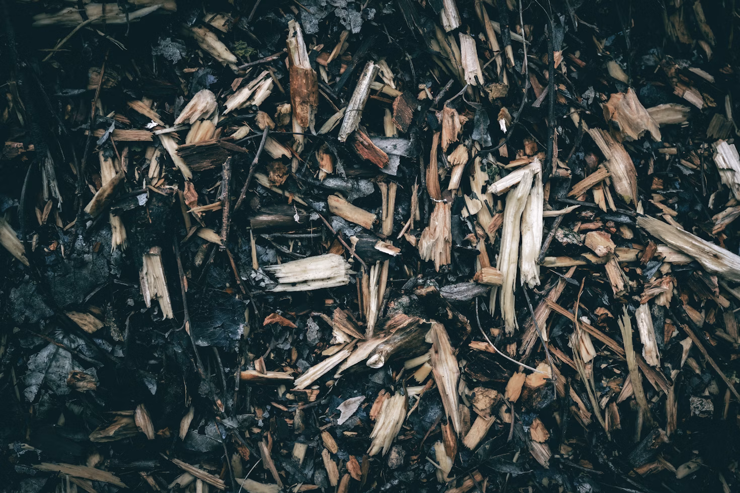 Complete Guide to Lignin Applications & Sustainable Materials
