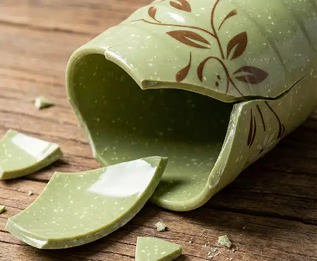 Why Your Eco-Friendly Tableware Might Be a Toxic Plastic Trap