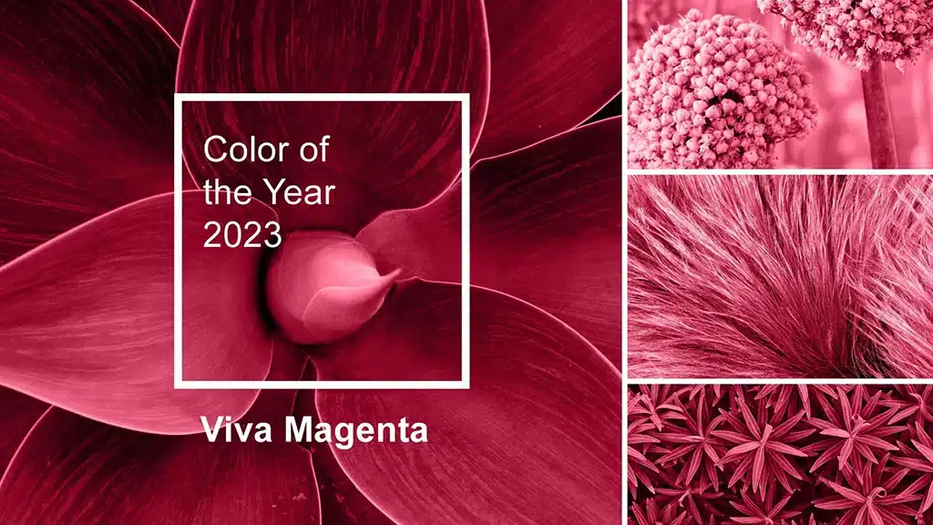 2023 Pantone Viva Magenta