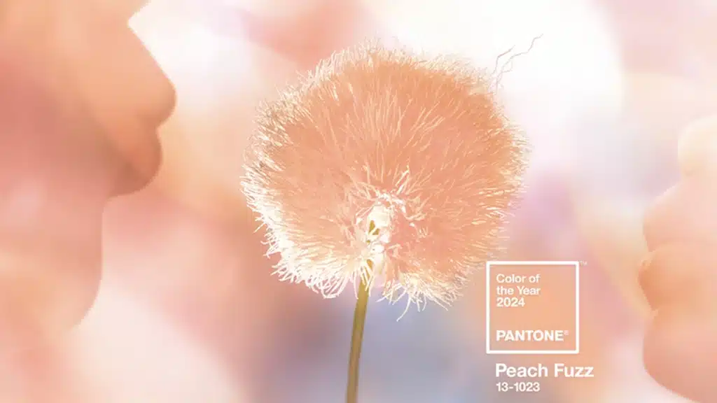 2024 Pantone Peach Fuzz