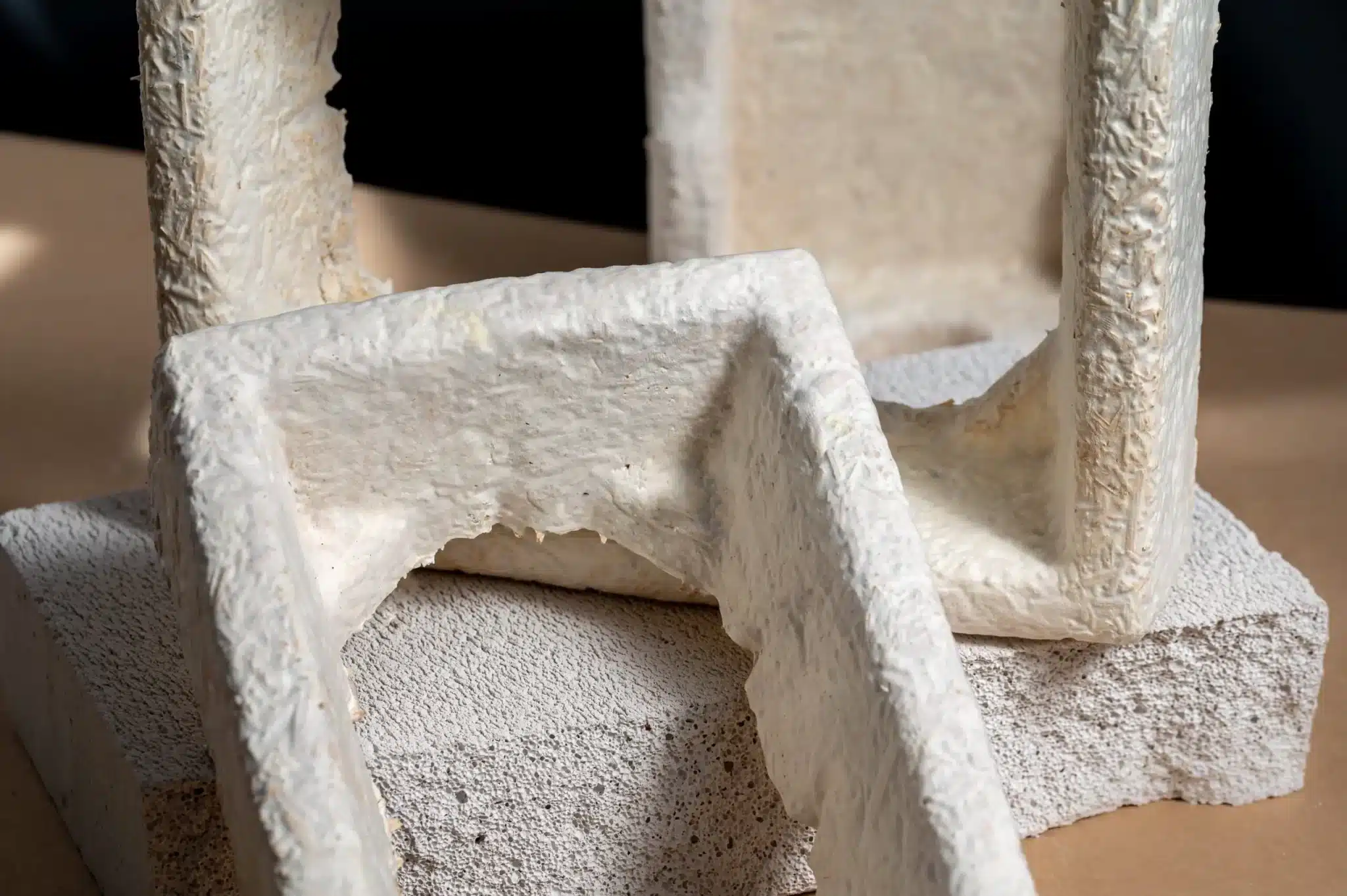 Next-Generation Biomaterials for Sustainable Packaging