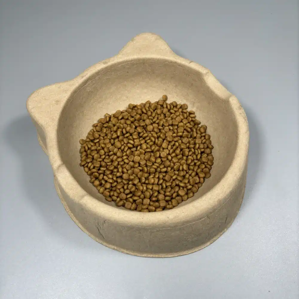 Cat Shaped Pet Food Bowl