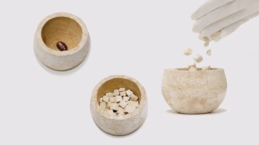 Pet Economy A Circular Life System