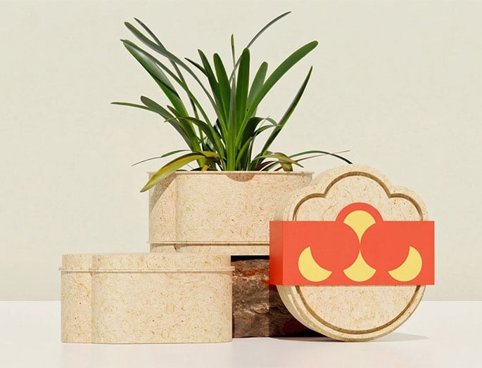 What Is Driving the Future of Sustainable Packaging? From Materials to Real-World Applications