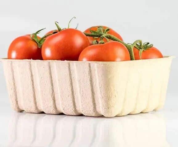 Widespread Adoption of Bio based Materials