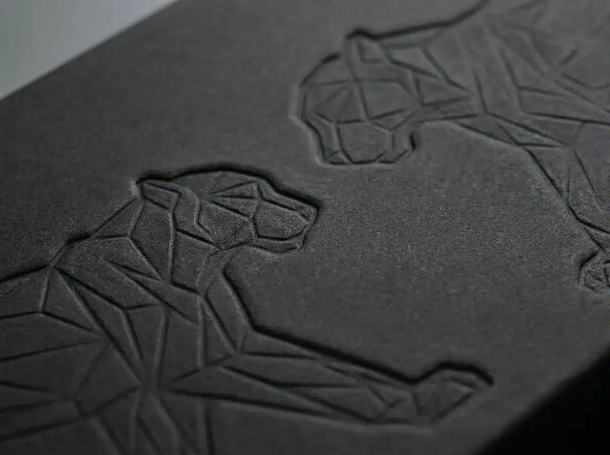 Black molded pulp packaging with embossed tactile details and premium minimalist texture
