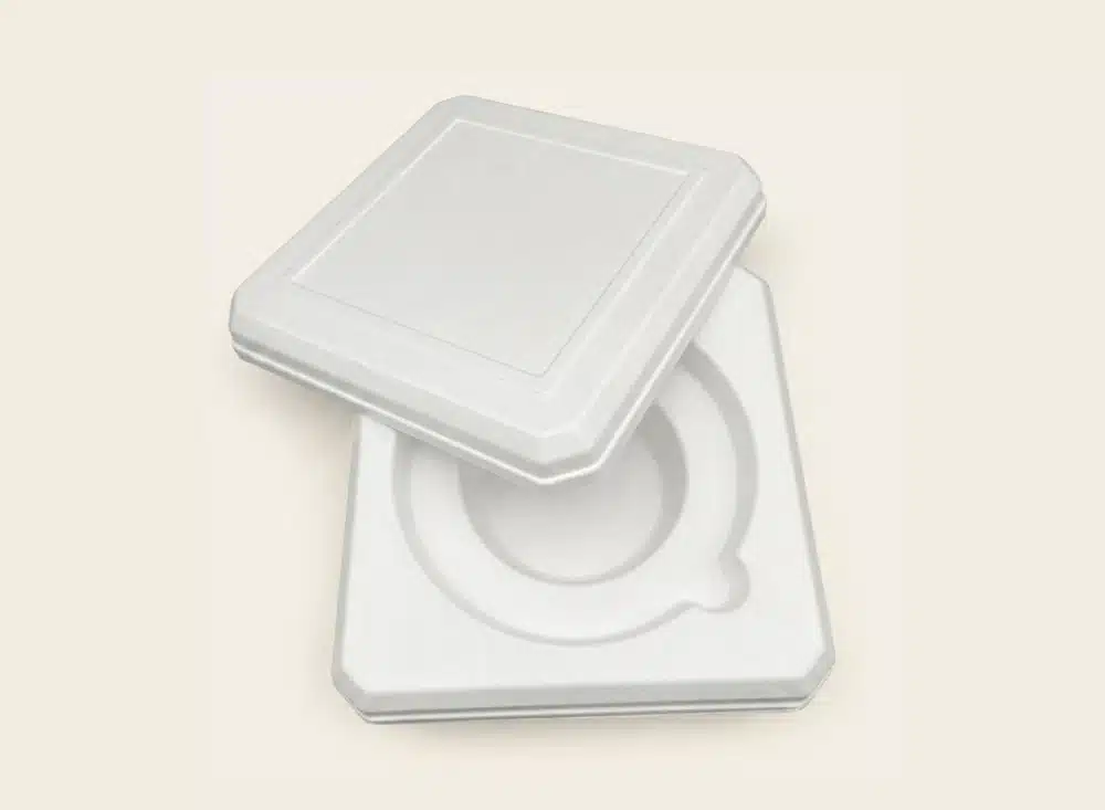 Molded Pulp Box