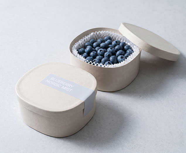 Molded pulp fresh produce and berry packaging box