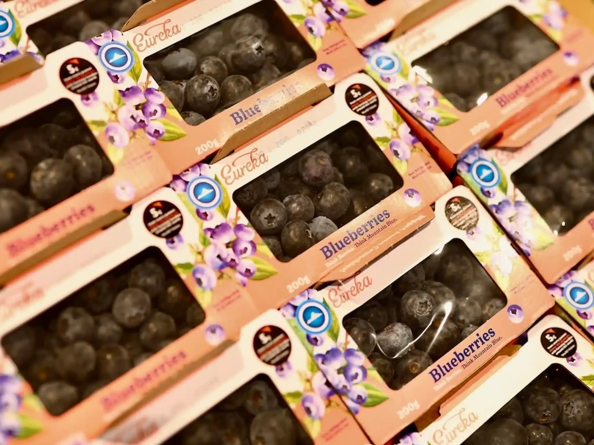 Opal paper-based produce punnet with transparent window