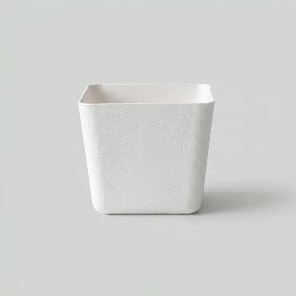 Disposable Square Molded Pulp Ice Cream Cup