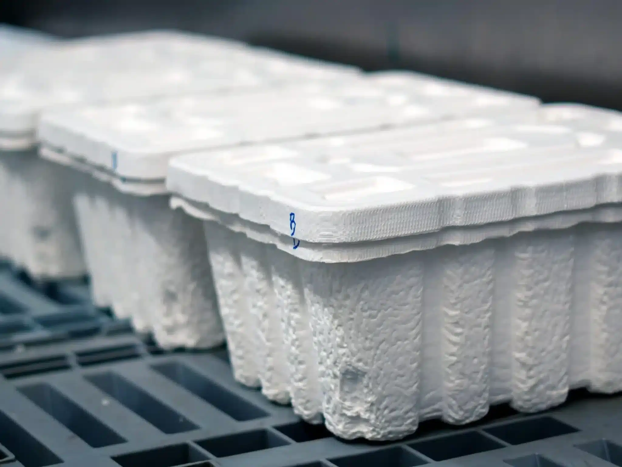 PAPACKS Fiber Box structure for cold-chain seafood transport