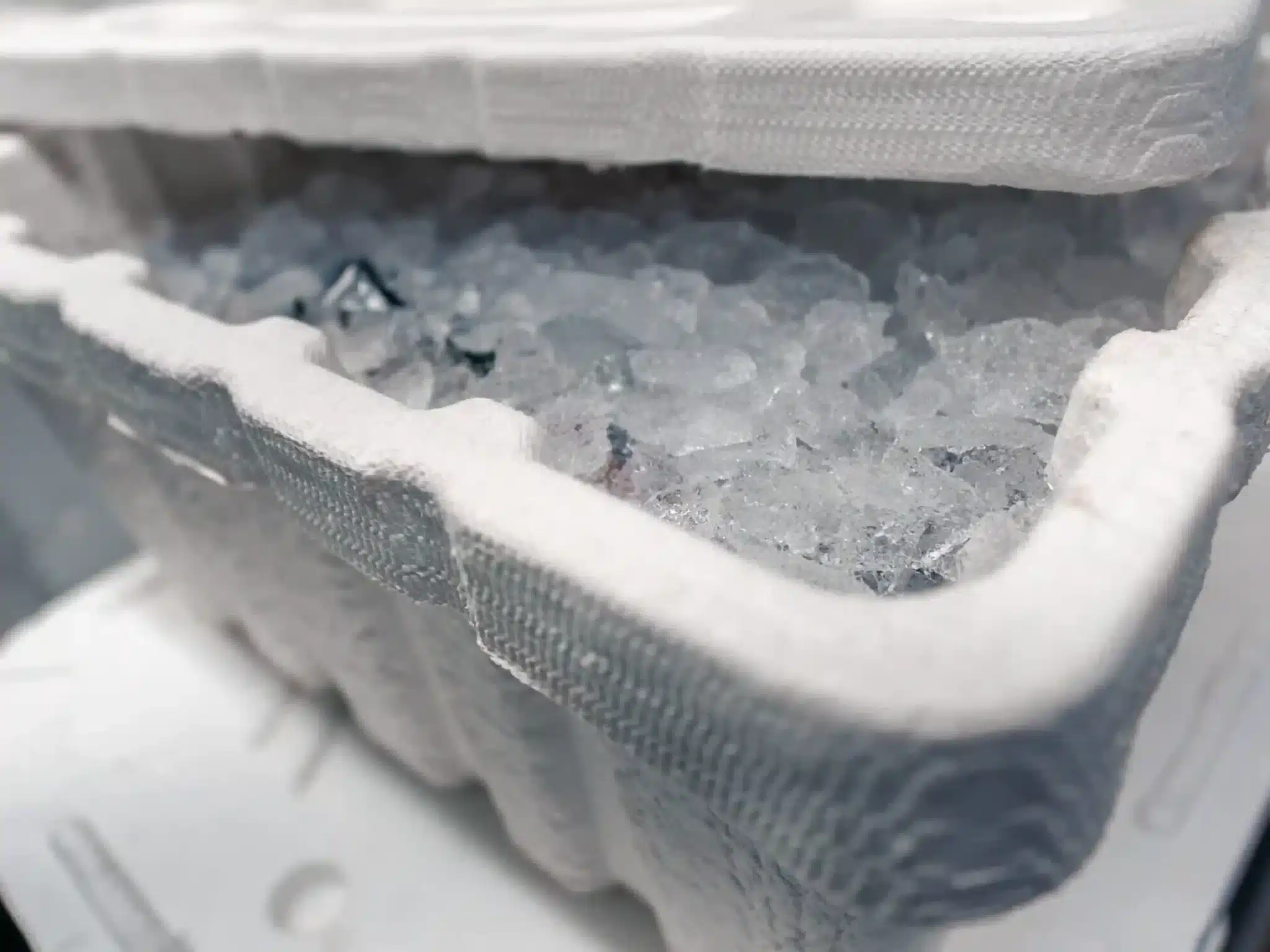 The Fiber Box molded-fiber seafood transport packaging