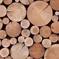 Wood Pulp Fiber